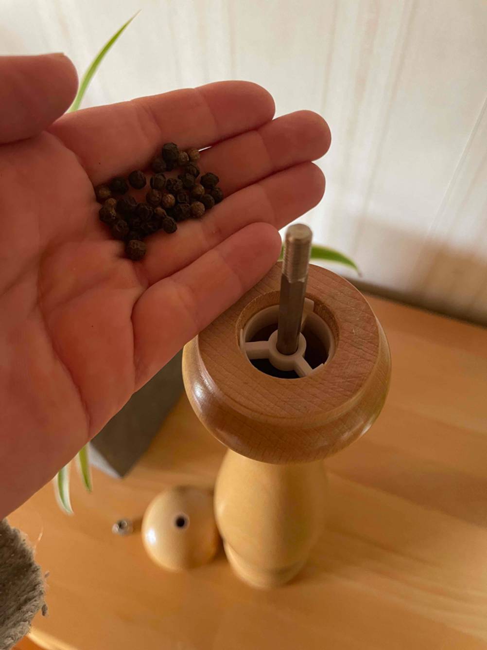 Dunkle Pfefferkörner liegen auf einer Handfläche
