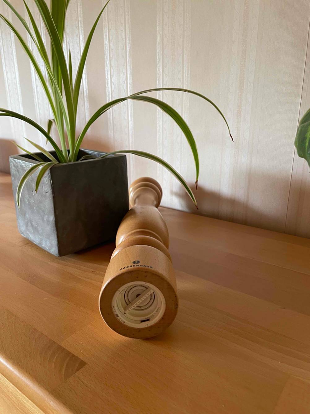 Nahaufnahme des Mahlwerks einer Holz-Pfeffermühle die auf einem Tisch neben einer Pflanze liegt.