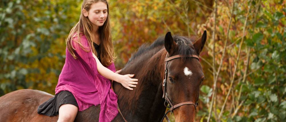 pony