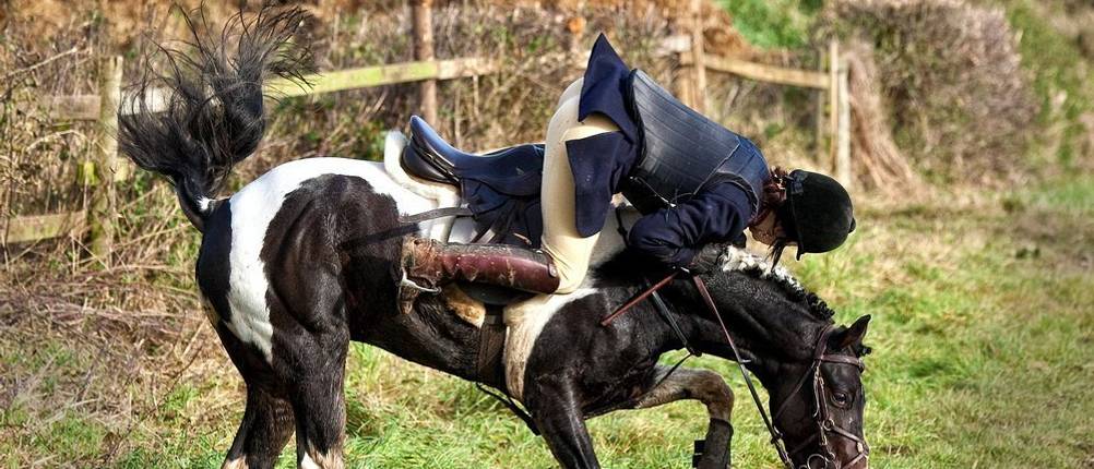 pferdehaftpflichtversicherung vergleich