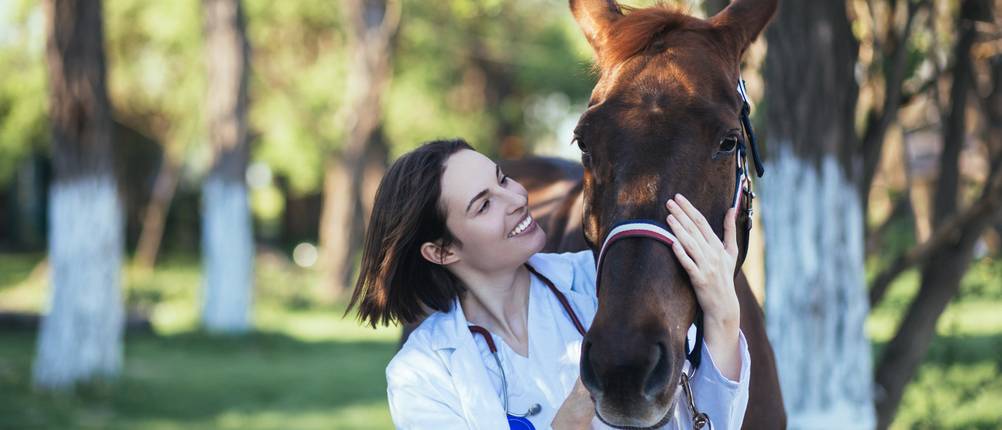 Pferdekrankenversicherung-Vergleich: Eine Tierärztin umarmt ein braunes Pferd und lächelt es an