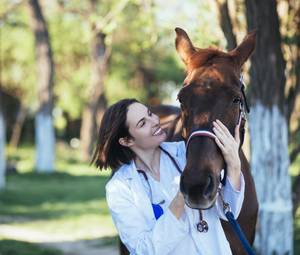 Pferdekrankenversicherung-freie-tierarztwahl-tierkliniken