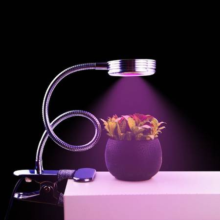 pflanzenlampe-abstand-zur-pflanze