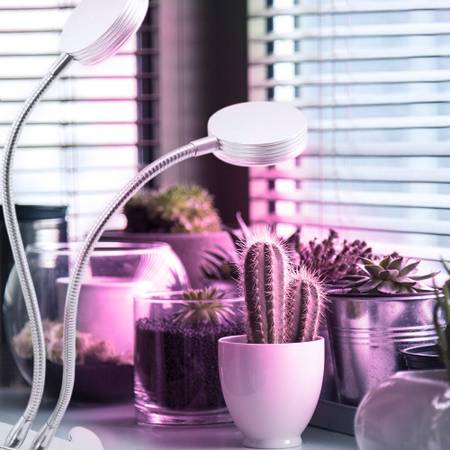 pflanzenlampe-lichtfarbe