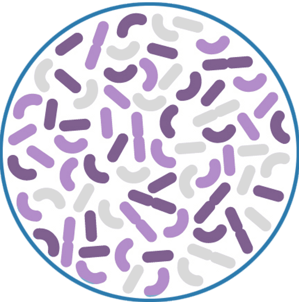 Pflaster gegen Bakterien
