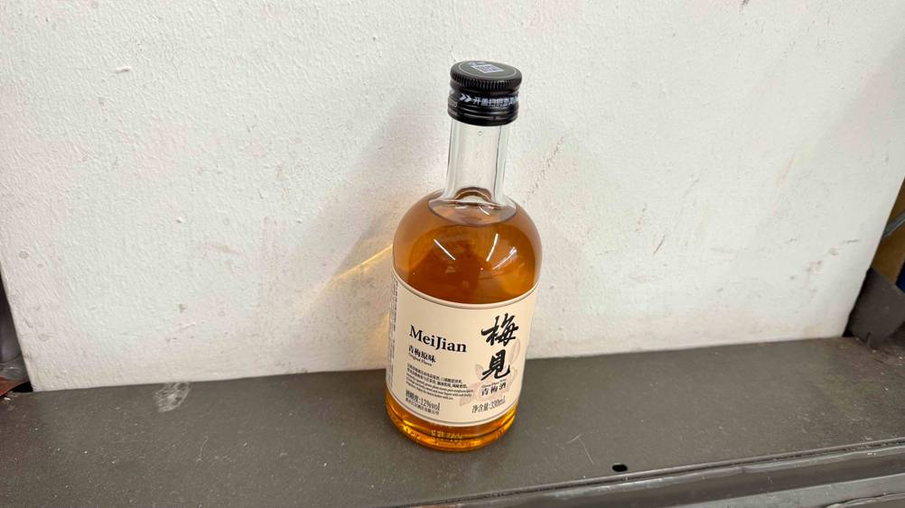 Eine Flasche des getesten Pflaumenweins vor einer hellen Wand stehend.