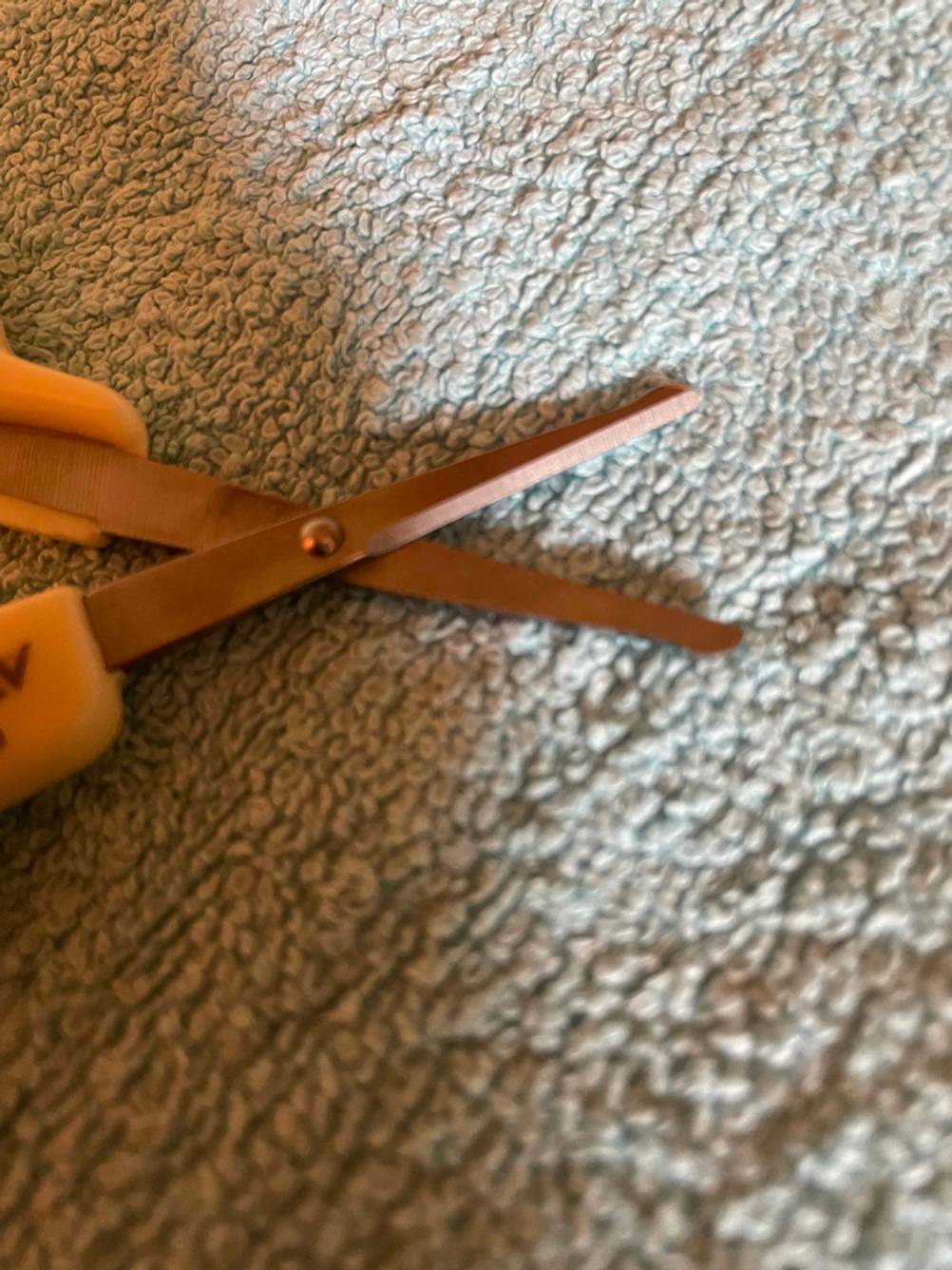 Baby-Nagelschere getestet: Nahaufnahme der Schneideblätter.