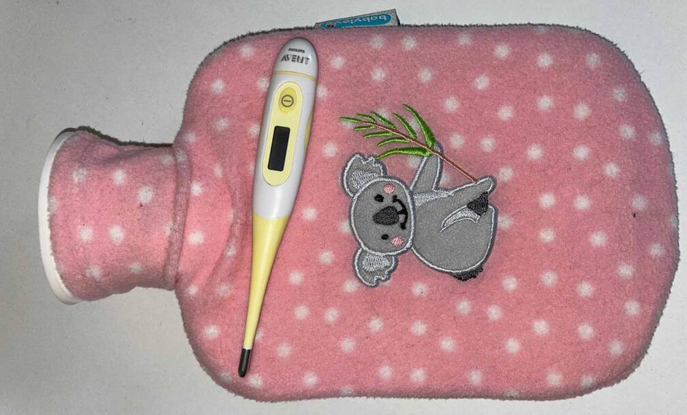 Fieberthermometer für Babys im Test: Ein digitales Thermometer liegt auf einer Wärmflasche mit rosafarbenem Plüschbezug.