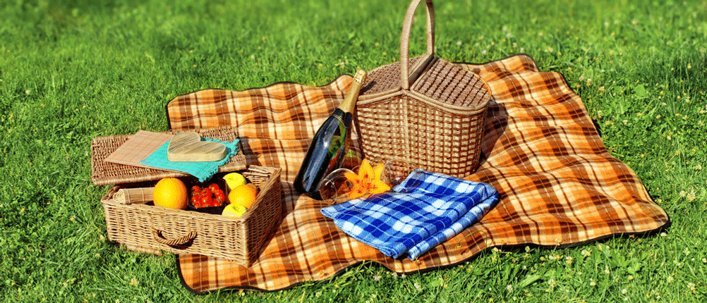 picknickdecke test