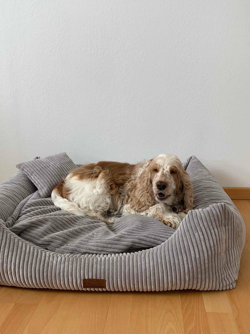 Ein Hund liegt auf einem Hundebett.