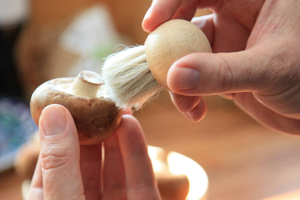 Pilzbürste-Test: Ein Champignon wird mit einer sehr kleinen Pilzbürste gereinigt. 