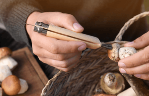 Pilzbürste-Test: Ein Pilz aus einem Korb aus Holz wird mit einer länglichen Pilzbürste gereinigt. 