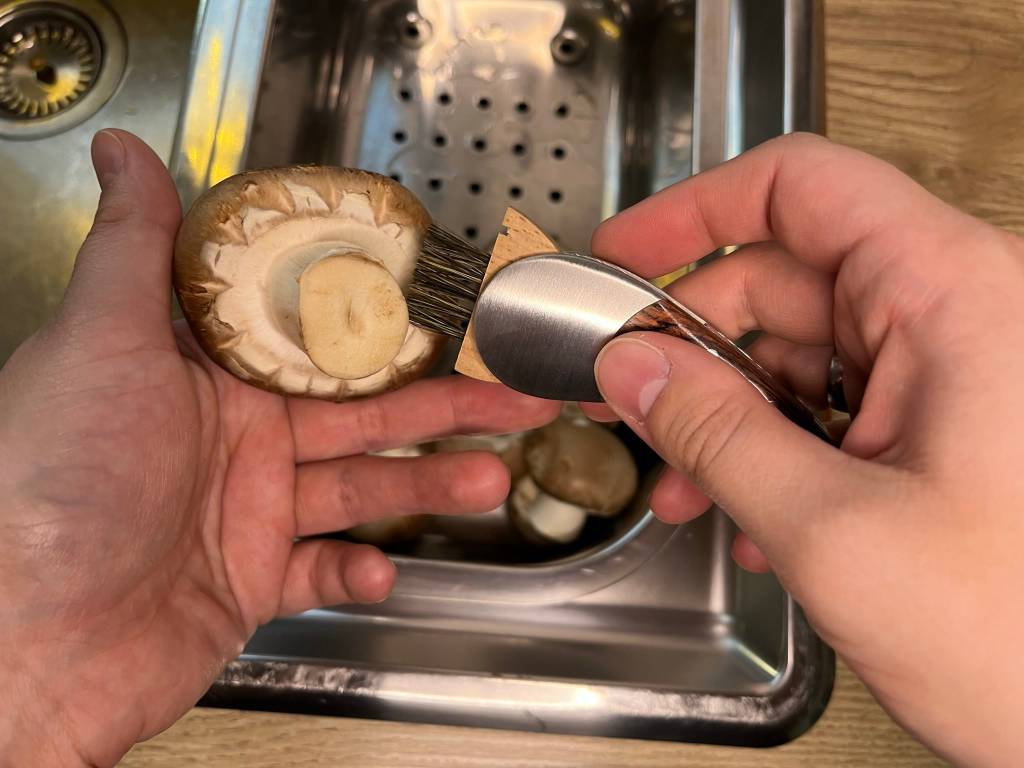 Einige Pilzmesser verfügen über integrierte Bürstchen.
