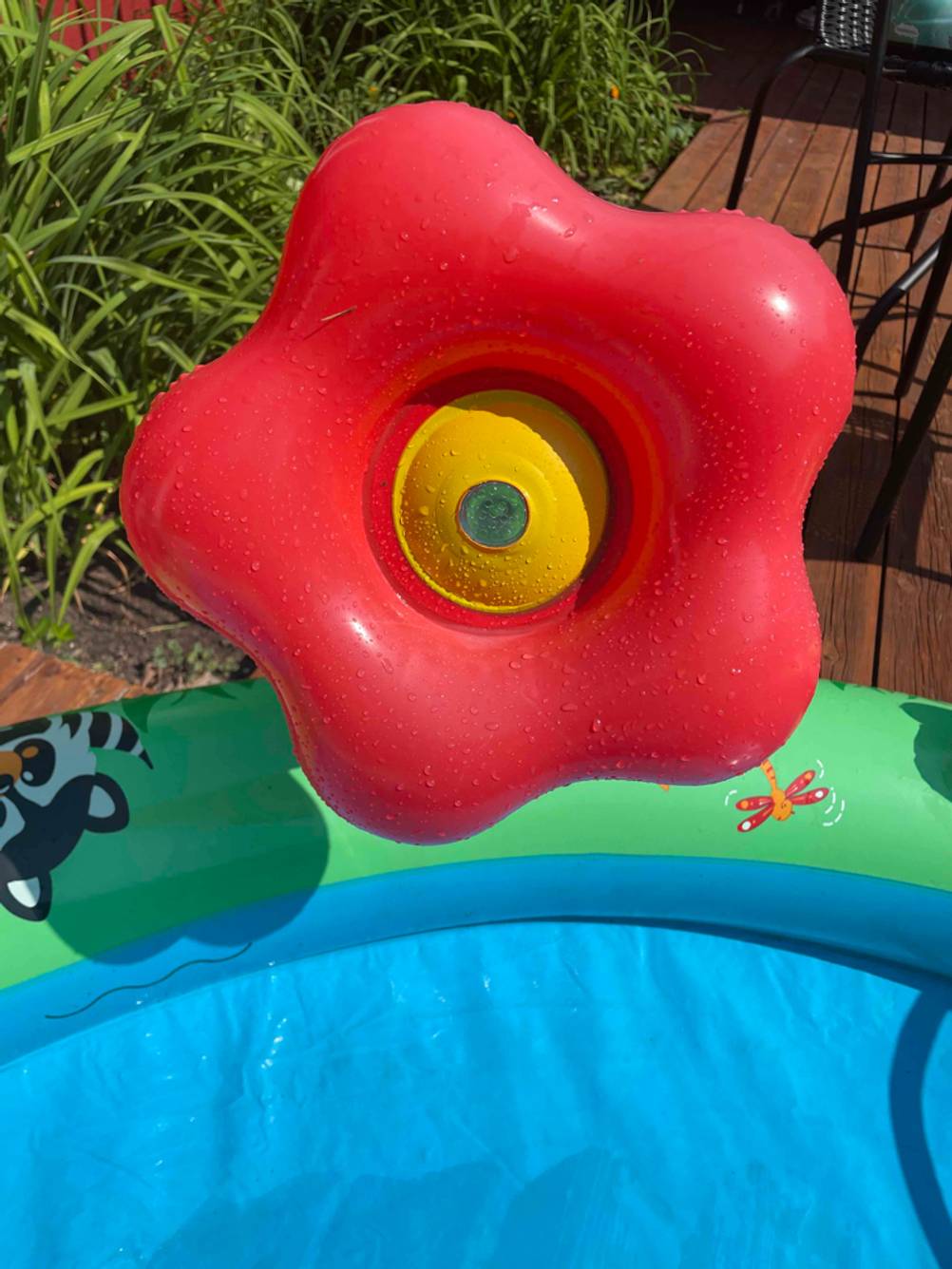 Im Test: Nahaufnahme einer aufgeblasenen Blume am Rand des Planschbeckens.