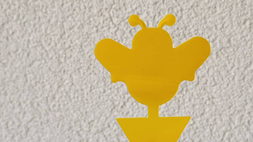 Nahaufnahme einer gelben Klebe-Fliegenfalle im Test, die sich vor einem weißen Hintergrund befindet.