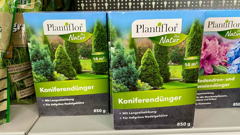 Im Test: Mehrere Packungen des Koniferendüngers neben anderen Produkten in einem Regal.