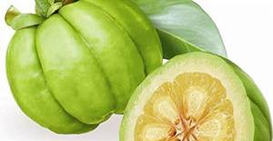 Appetitzügler Inhaltsstoff Garcinia Cambogia