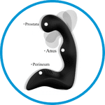 plug prostatamassage