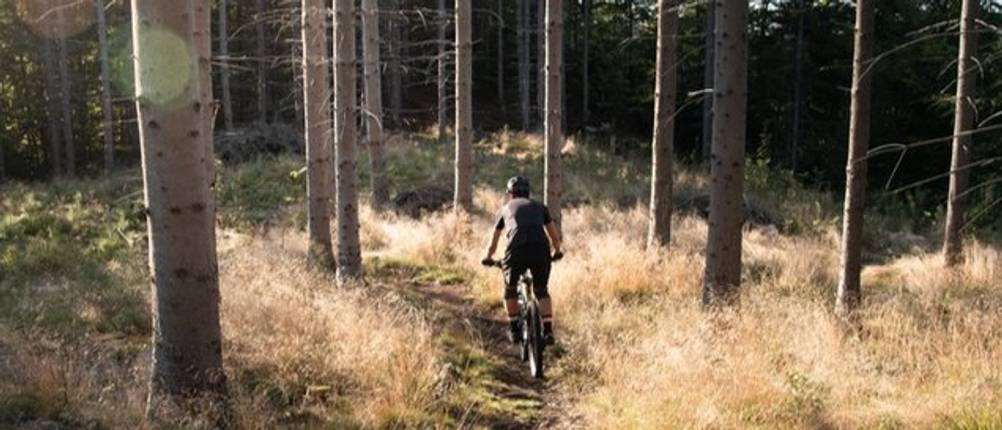 poc fahrradhelm test