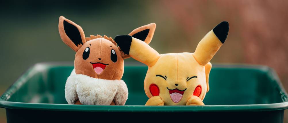 pokémon-kuscheltier-test