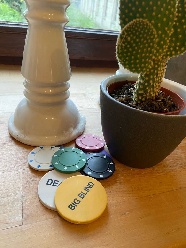 Mehrere Pokerchips liegen zum testen vor einem Blumentopf.