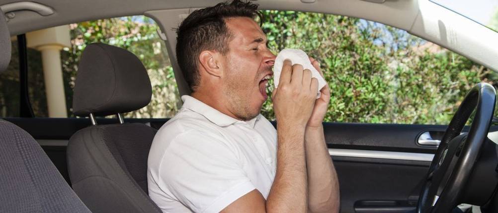 pollenschutzgitter-allergie-im-auto