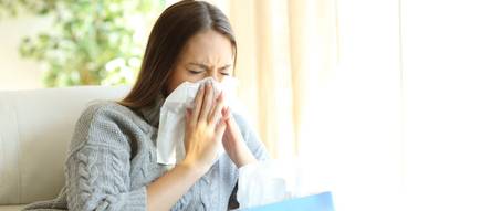 Pollenschutzgitter für Allergiker: So schützen Sie sich zu Hause