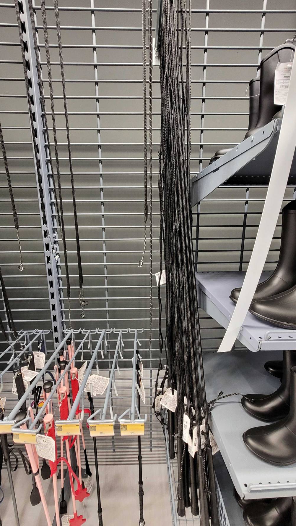 Mehrere Longierpeitschen hängen zum testen in einem Gitterregal neben anderen Reitartikeln.