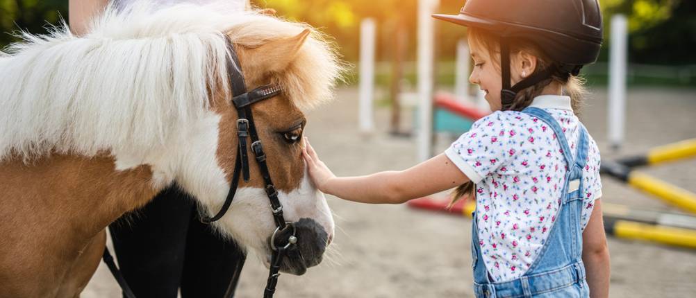 Ponysattel-Test: Ein Kind streichelt ein Pony.