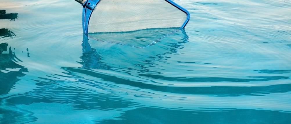 Kescher für Pool