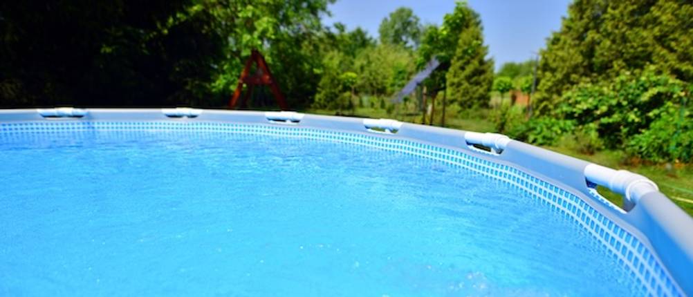 Blick aus einem getesteten ovalen Pool heraus auf ein Waldstück.
