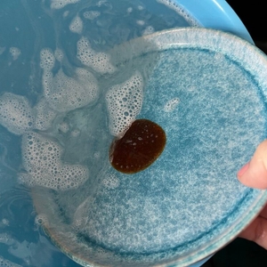 Eine Hand taucht einen Teller mit einem eingetrocknetem Ketchupfleck in eine blaue Schüssel mit Wasser.