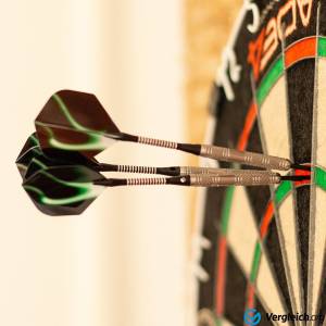 profi darts