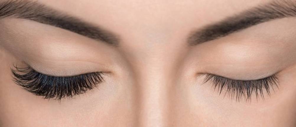 Profi-Wimpernkleber-Test