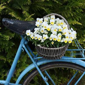 fahrrad 26 zoll