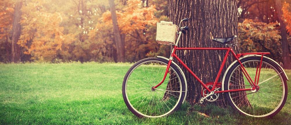 prophete fahrrad test