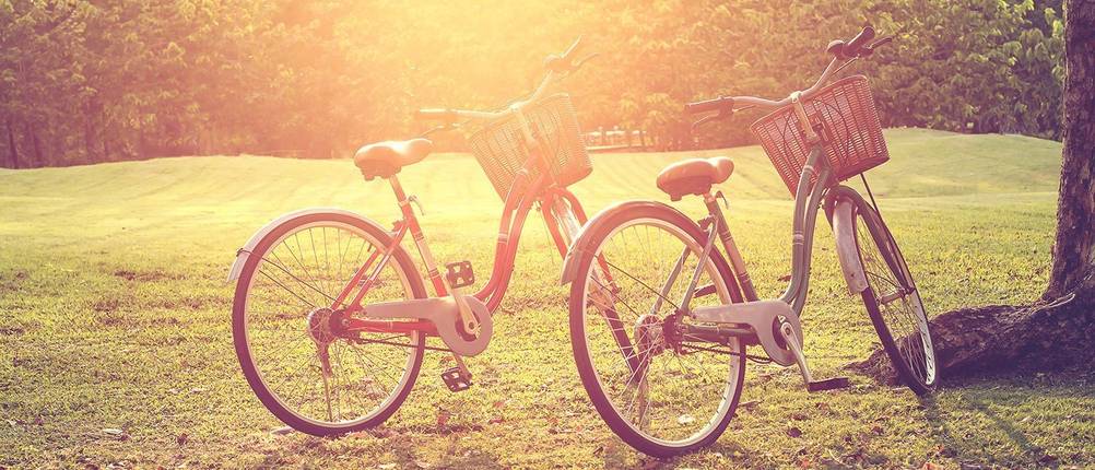cruiser prophete fahrrad test