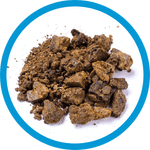 Propolis Pulver