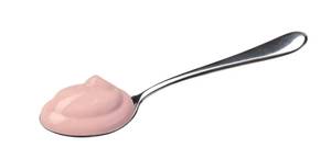 Protein-Pudding selbst gemacht