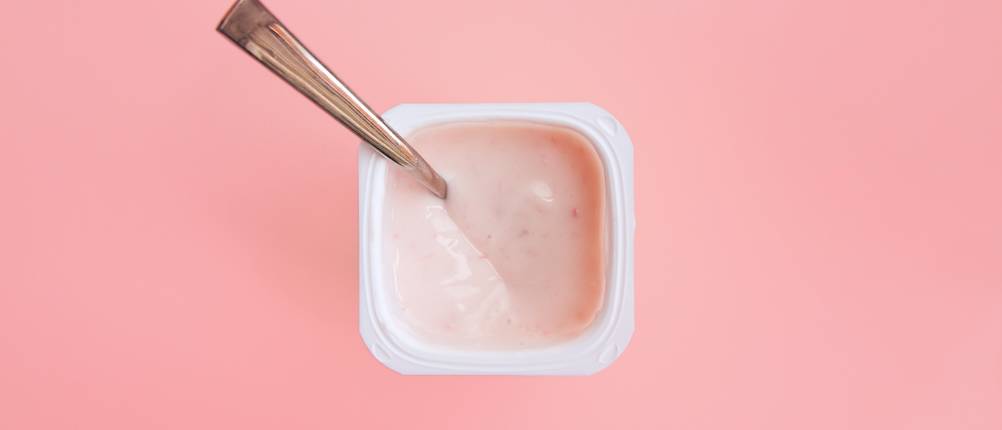 Protein-Pudding Zubereitung