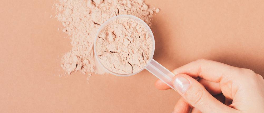 proteinpulver-schoko-test