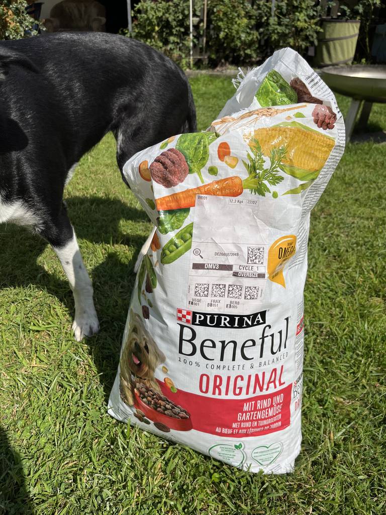 Hundetrockenfutter-Test: eine Vorratspackung der Marke Purina steht auf dem Rasen neben einem schwarzen Hund.