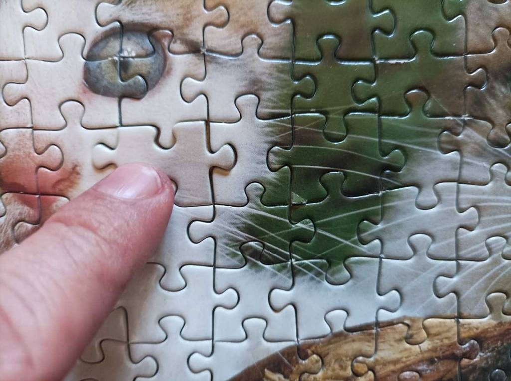 Puzzle im Test: Ein Finger fügt ein passendes Teil ein.