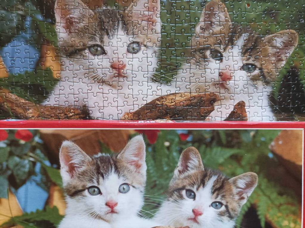 Puzzle getestet: Ein fertiges Puzzle mit zwei Katzen steht hinter dem Originalkarton.