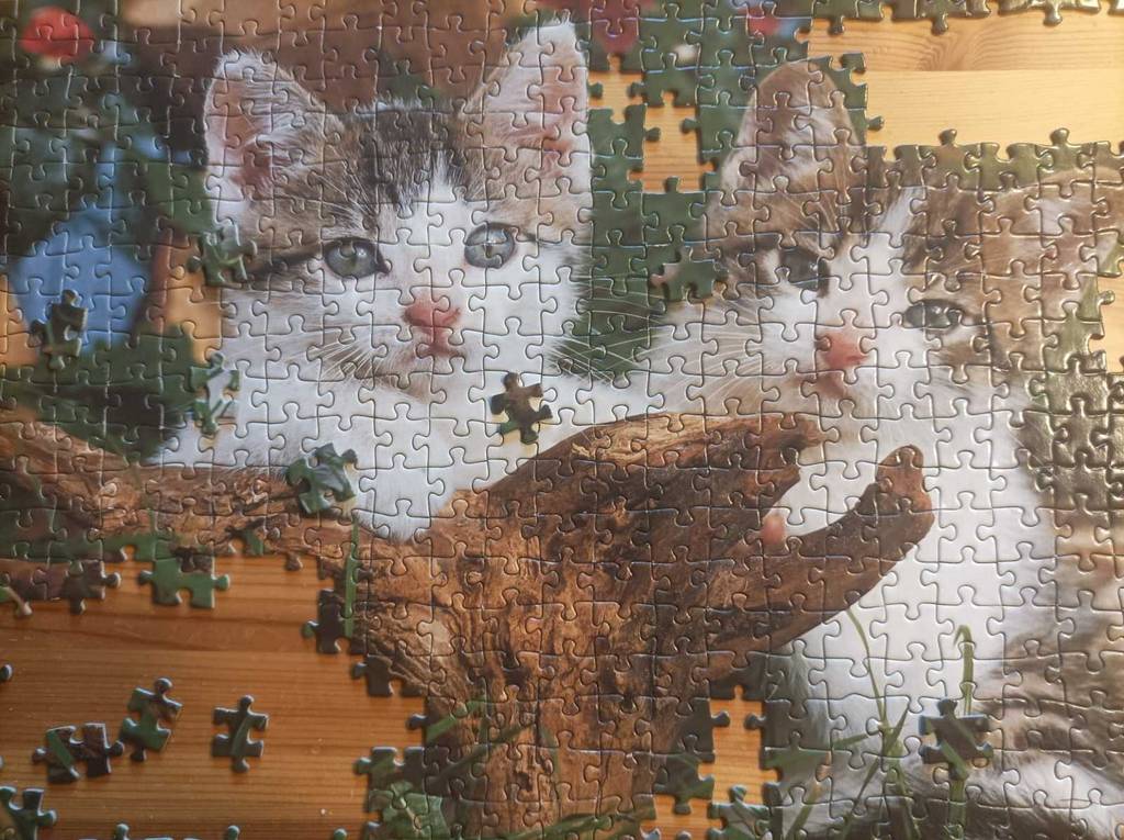 Blick auf ein halb fertiges Puzzle mit Katzen im Test.