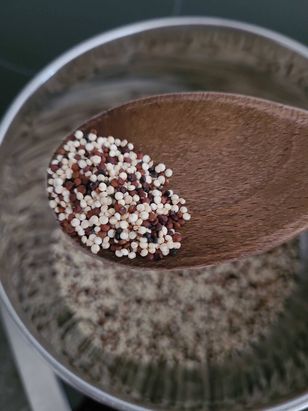 Getesteter Quinoa befindet sich in einem Holzlöffel. 