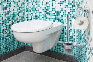 WC-Sitz mit Absenkautomatik Test