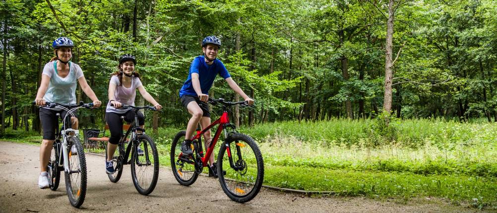 3/4-Radhosen-Damen-Test: drei Fahrradfahrer – eine Frau mit kurzer Hose, eine Frau mit 3/4-Hose und ein Mann – fahren mit ihren Rädern durch den Wald.