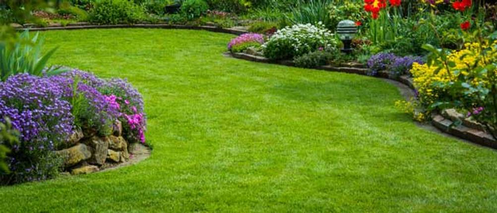 frisch gemähte Rasenfläche im Garten