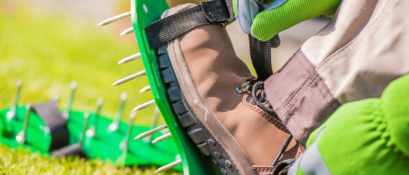 RasenlüfterSchuhe Test & Vergleich » Top 13 im März 2025